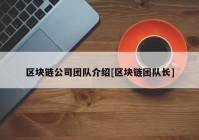 区块链公司团队介绍[区块链团队长]