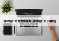 区块链公司开发靠谱吗[区块链公司干嘛的]